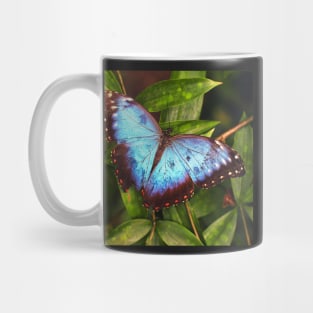 Blue Butterfly Mug